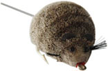 MOUSE FLY fishing-flies.html jigging lure, weight —