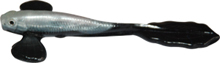 HSX-fly-fish