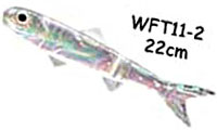 WFT11-2
