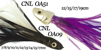 oa51