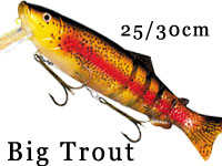 sbig-trout