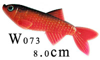 w073