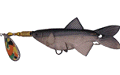 SB13 spinner bait, skirted jig with a willow blade