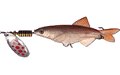 SB11 spinner bait, skirted jig with a willow blade